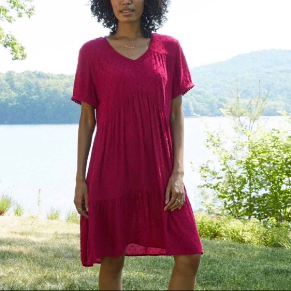 Knox Rose V-neck Swiss Dot Shift Dress Burgundy